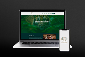 Web Application Portfolio